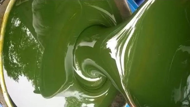 Rubber Process Oil - janis business group